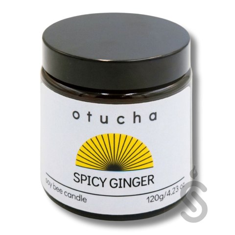 Spicy Ginger